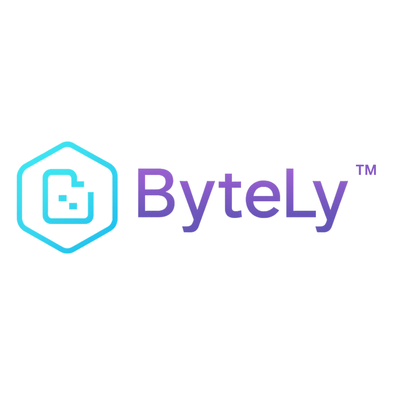 ByteLy Store Logo